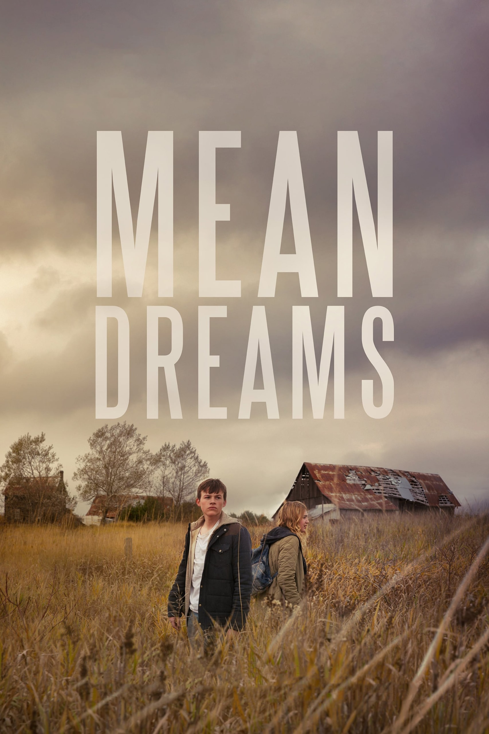 Poster for the movie "Mean Dreams"